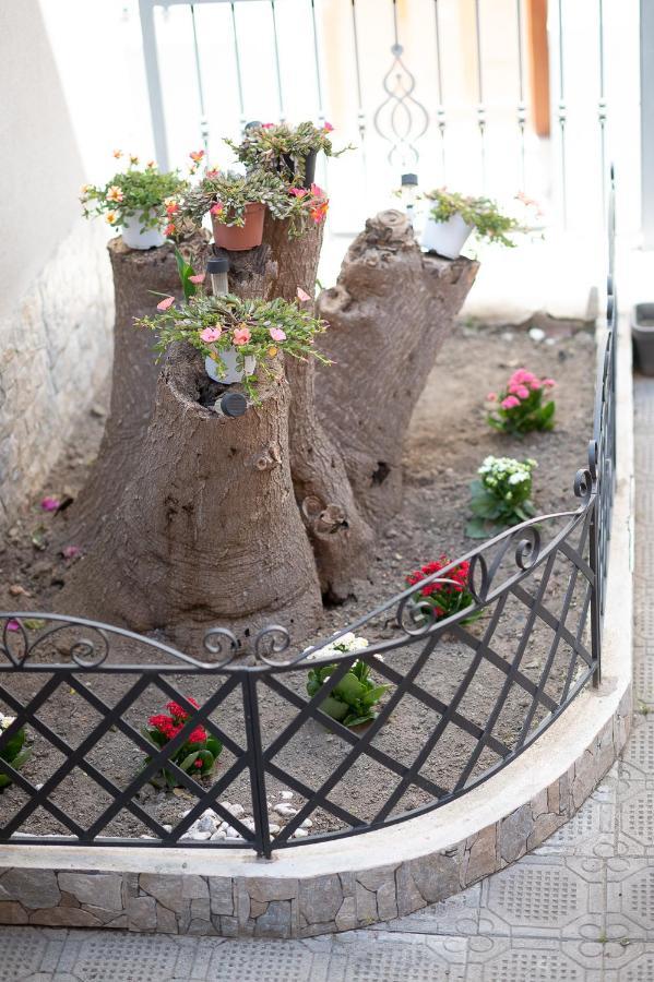 La Magnolia Rooms Procida Extérieur photo